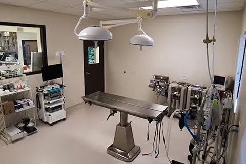 Laboratorio e Imagen Diagnóstica