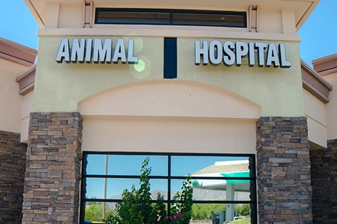 signal hill animal clinic