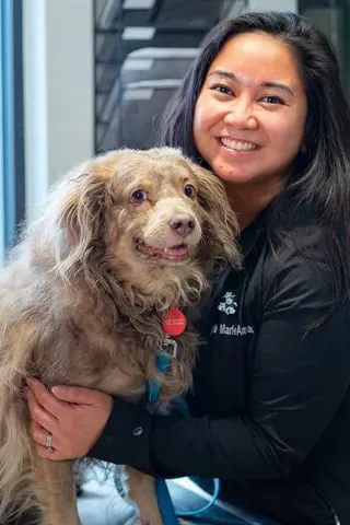 Centennial Hills Animal Hospital gallery photo 2