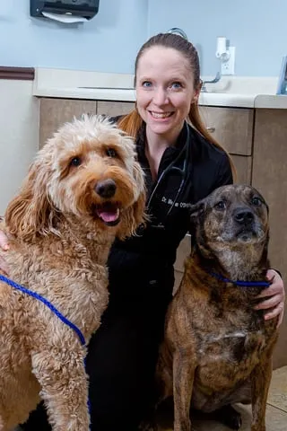 Centennial Hills Animal Hospital gallery photo 16